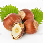 Hazelnut