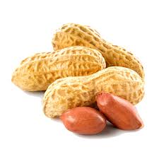 Peanut